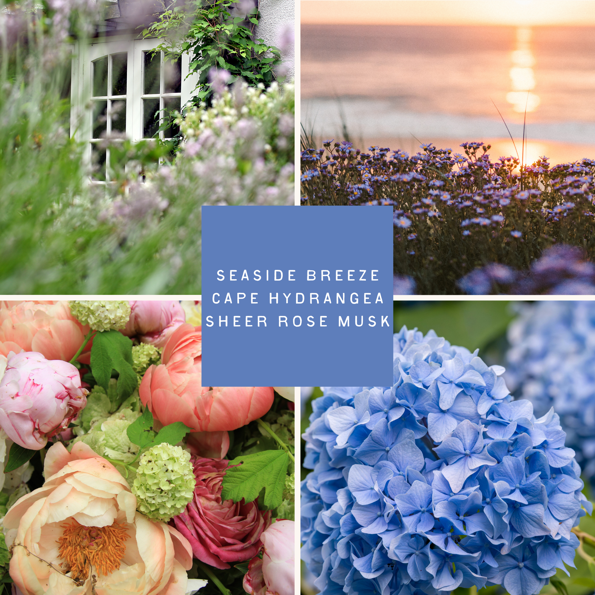 Collage of flowers with text &