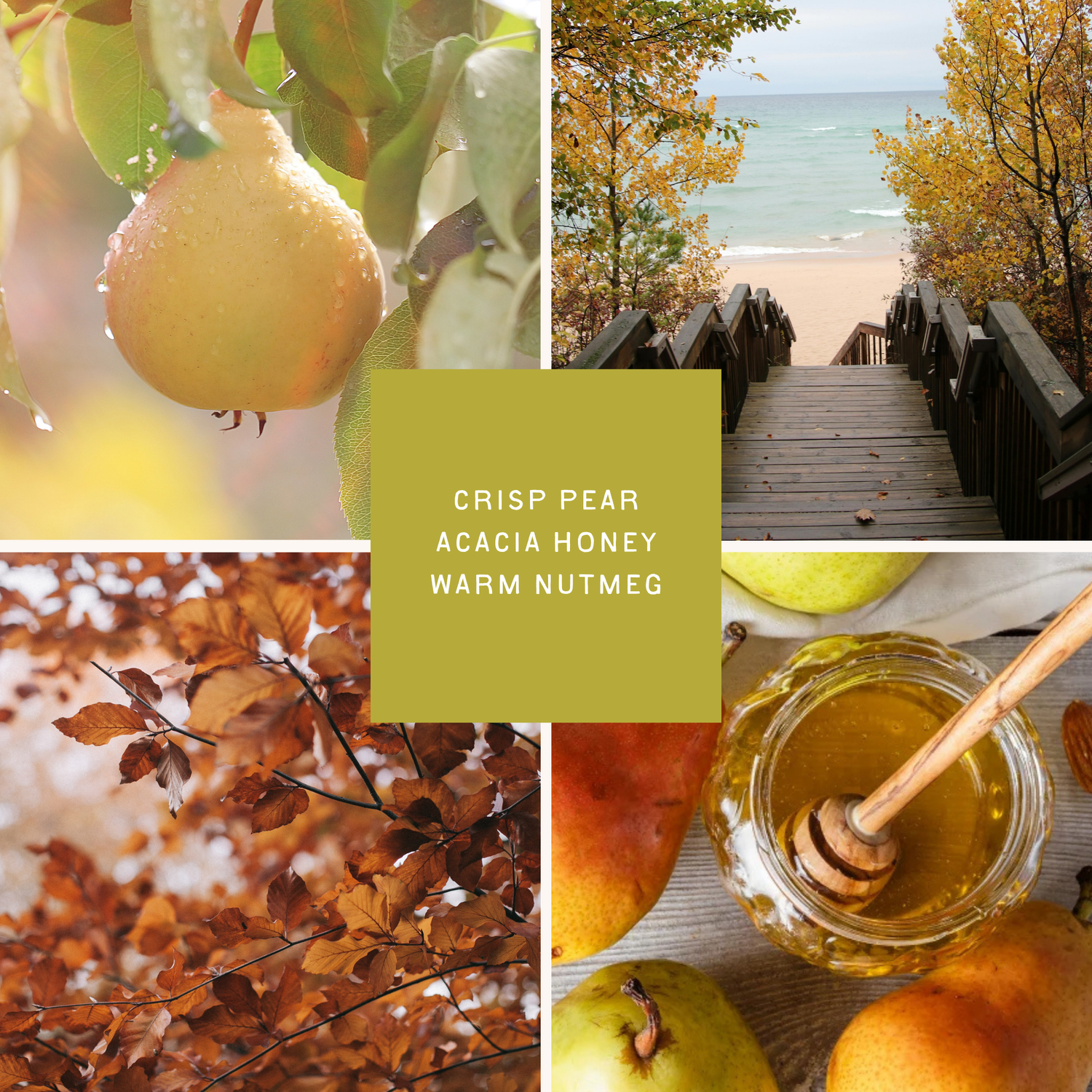 Gilded Pear Liquid Soap