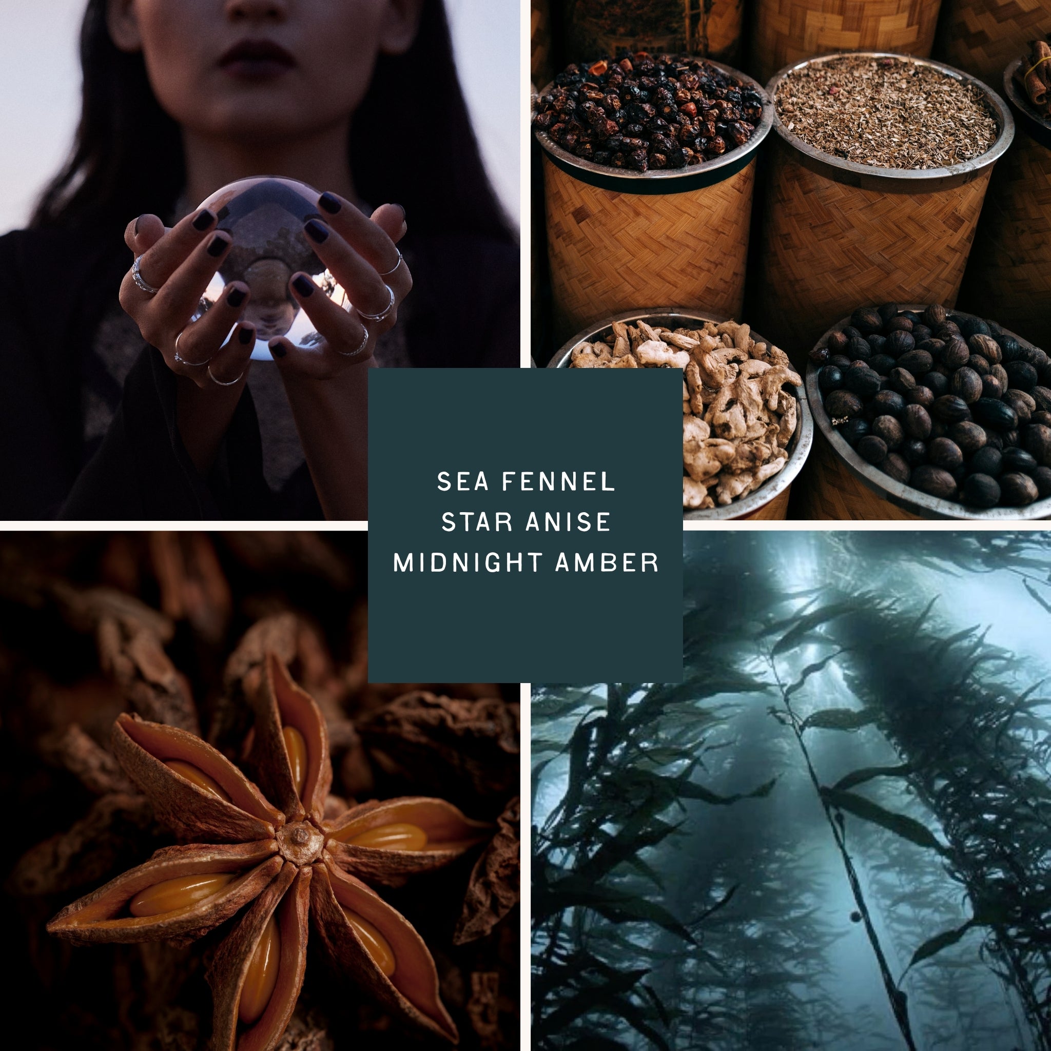 A mystical coastal-inspired mood board for the Seawitch candle by Salt Town, featuring a dark-haired woman holding a crystal ball, warm spices like star anise, cinnamon, and nutmeg scattered among autumn leaves, a close-up of star anise pods, and an underwater sea fennel bathed in ethereal light—evoking the scent of spice, cedar, amber, and sea magic.